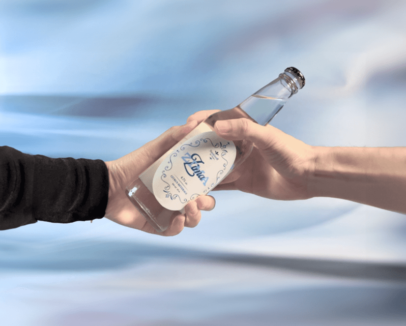 Zima student project